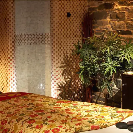 Hotel Falls & 4*