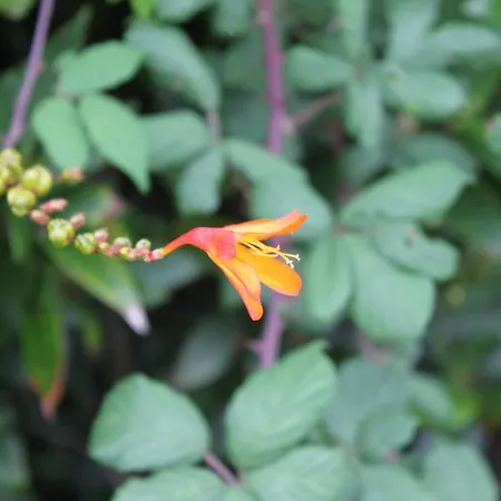 酒店 瀑布酒店及水疗中心 4*